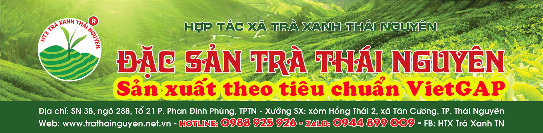 Chè Thái Nguyên - Hương vị tinh túy của vùng đất trà Việt
