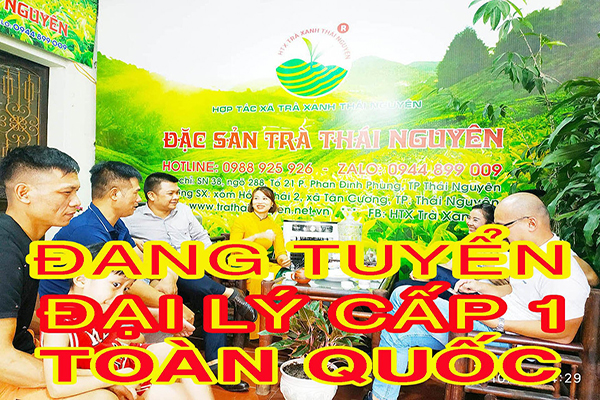 5 lý do khiến Hộp trà cao cấp, trà đinh Thái Nguyên đắt tiền