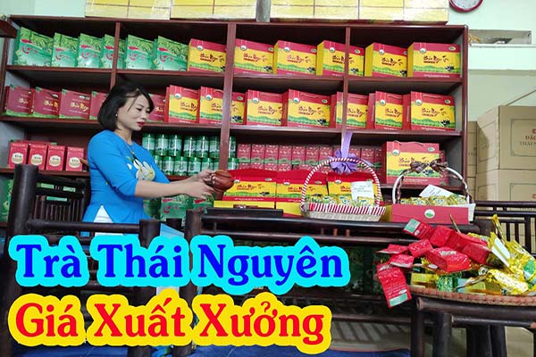 8 kỹ thuật pha trà móc câu Tân Cương ngon nhất
