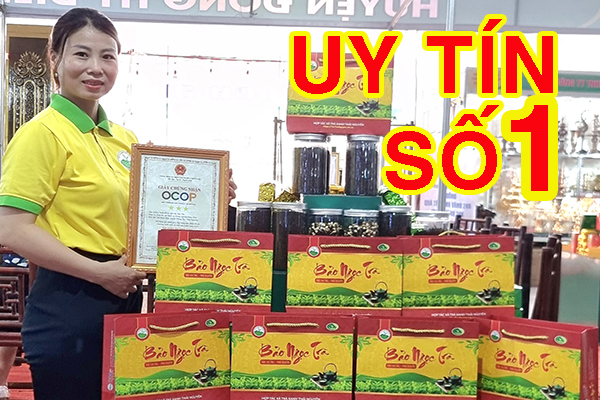 Tại sao bạn không thể bỏ qua trà móc câu Tân Cương?