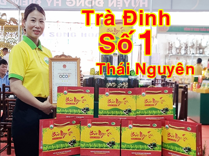 Trà Đinh Nõn Thái Nguyên - 1 Thượng Phẩm Trà Việt