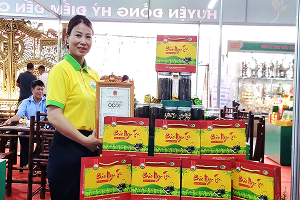 Tại sao chè Thái Nguyên lại đắt, mua ở đâu giá tốt?