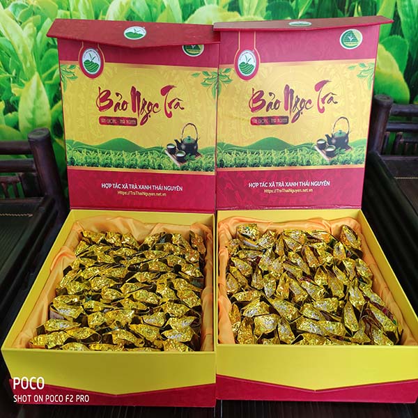 Top 10 thương hiệu trà đinh Tân Cương Thái Nguyên uy tín