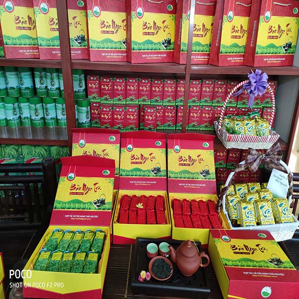 Nên mua Trà Đinh Thái Nguyên từ nguồn nào để đảm bảo an toàn?