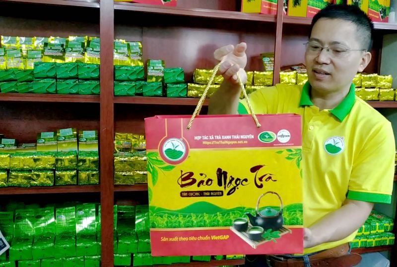 Bí mật không thể bỏ qua về trà Thái Nguyên cao cấp