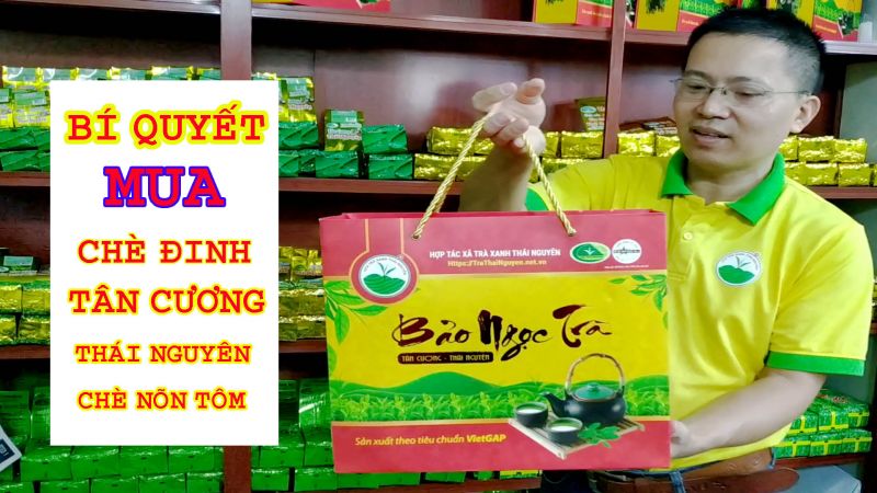 Top 10 Đặc Điểm Nổi Bật của Chè Tân Cương Xanh Thái Nguyên
