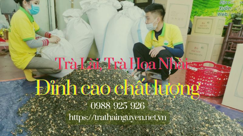 Trà lài Thái Nguyên - Sản phẩm chất lượng số 1 của bạn