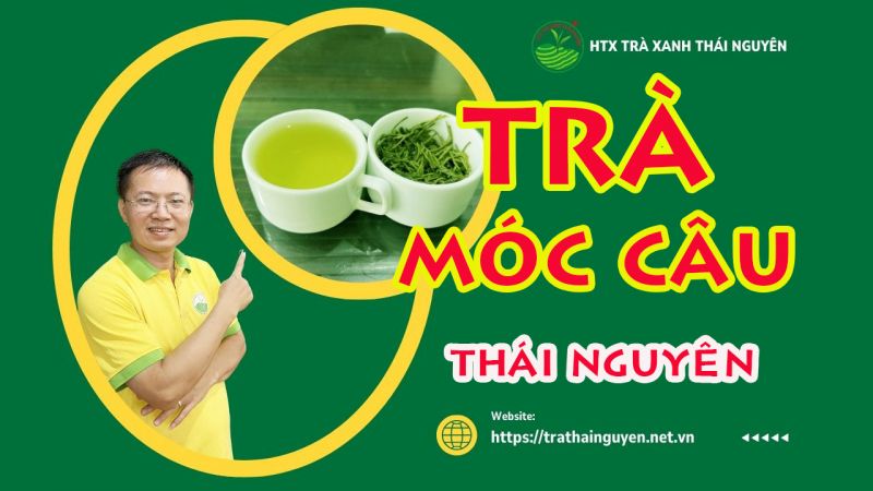 Trà Móc Câu Thái Nguyên đã được chứng nhận về nguồn gốc?