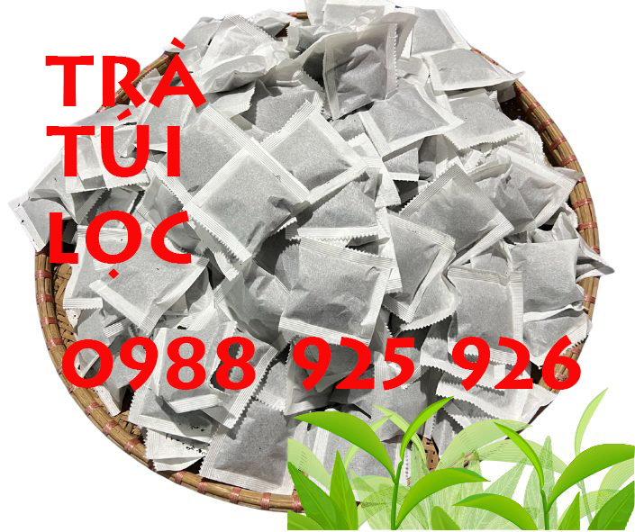 Top 10 đối tượng nên dùng trà túi lọc Thái Nguyên để tốt cho sức khỏe