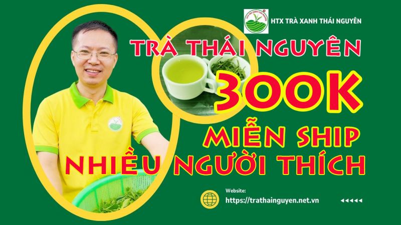 Chè Tân Cương Thái Nguyên có giúp tăng cường hệ miễn dịch không?