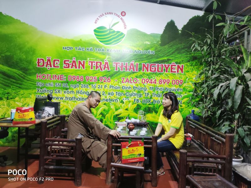 Cách phân biệt giữa trà Nõn Tôm Thái Nguyên và các loại khác?