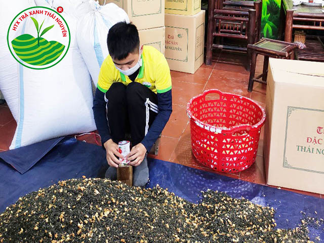 Top 10 Thương Hiệu Trà Túi Lọc Hương Nhài Thơm Ngon