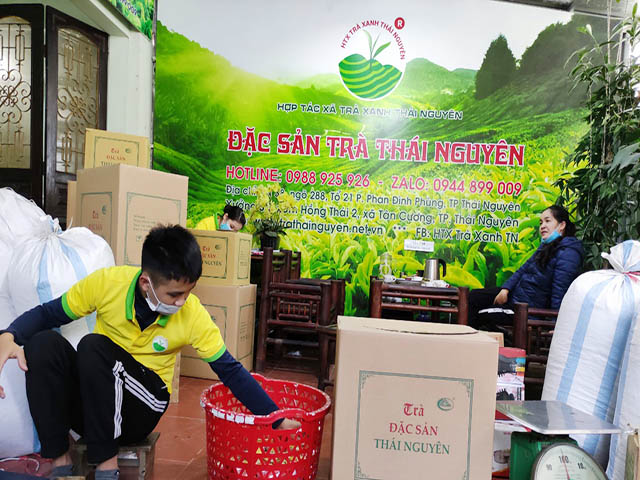 Top 7 loại trà hoa nhài Jasmine thơm ngon được ưa chuộng nhất 2024