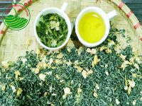 Top 10 Đánh Giá Chi Tiết Trà Hoa Nhài Cozy - Thức Uống Thơm Ngon