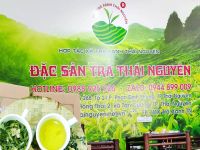 Top 10 Công Dụng Tuyệt Vời Của Trà Hoa Nhài Đối Với Sức Khỏe