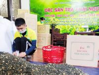 Trà Hoa Lài Khô - Hương Vị Thanh Tao & Công Dụng Tuyệt Vời