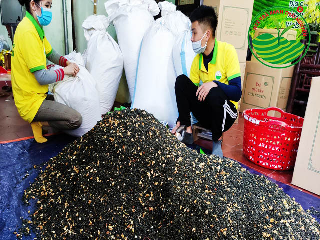 Trà Lài Giá Bao Nhiêu? 5 Lưu Ý Giúp Bạn Mua Đúng Hàng