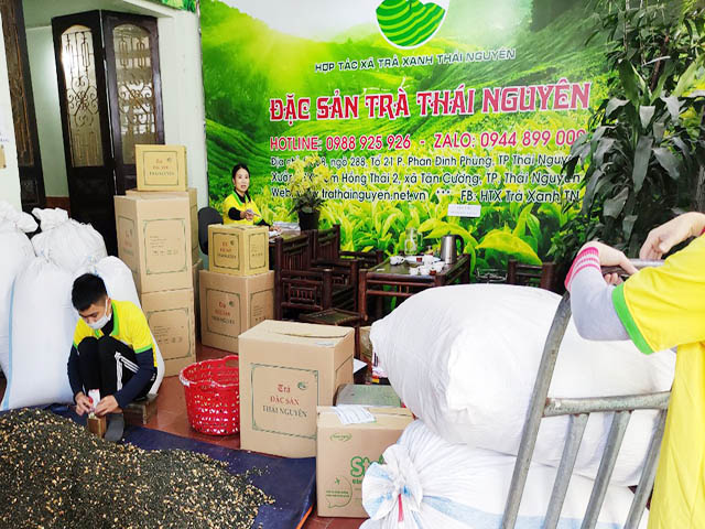 Top 8 Bí Quyết Chọn Trà Lài Thái Nguyên Cao Cấp Ngon Nhất