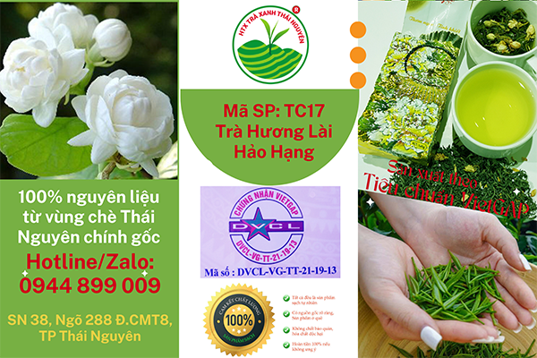 (5+) Bí Quyết Chọn Mua Trà Lài Chuẩn Thơm Ngát