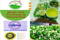 2 Cách Phân Biệt Trà Lài Thật Giả & Bí Quyết Chọn Mua