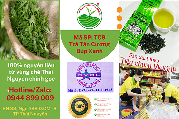 Trà hoa nhài có giúp tăng cường miễn dịch không?