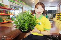 Trà bắc thái nguyên có tác dụng gì đối với sức khỏe?